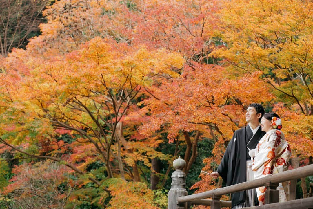 鎌倉プリンスホテル写真室_la-vie factoryのグルメインスタ