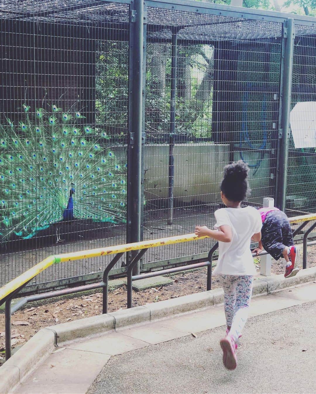 中鉢明子のインスタグラム