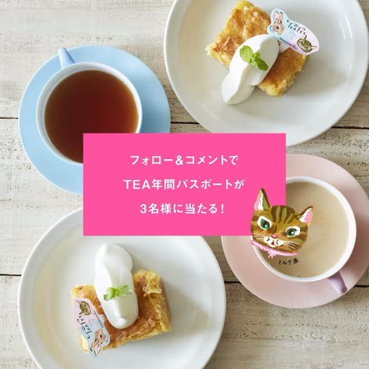 Afternoon Teaのインスタグラム