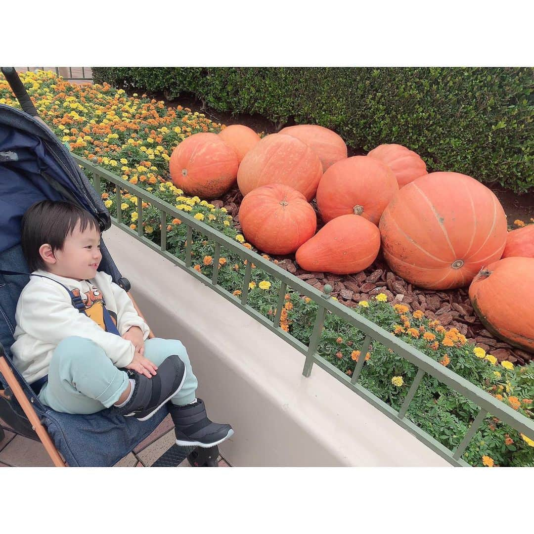 川崎希さんのインスタグラム写真 - (川崎希Instagram)「🎃🎃🎃 #halloween  #disneyland」10月21日 12時32分 - kawasakinozomi