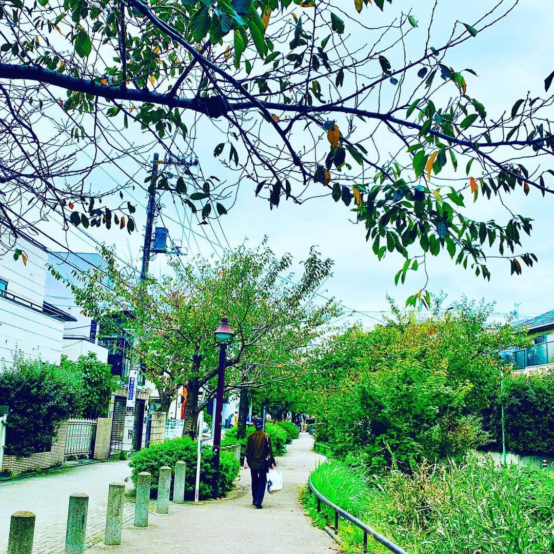 松尾貴史さんのインスタグラム写真 - (松尾貴史Instagram)「#下北沢 「 #茄子おやじ 」で #ビーフカレー 。 安定の優しいお味。  散歩をしながら打ち合わせへ。  #下北沢カレーフェスティバル」10月21日 12時32分 - kitsch.matsuo