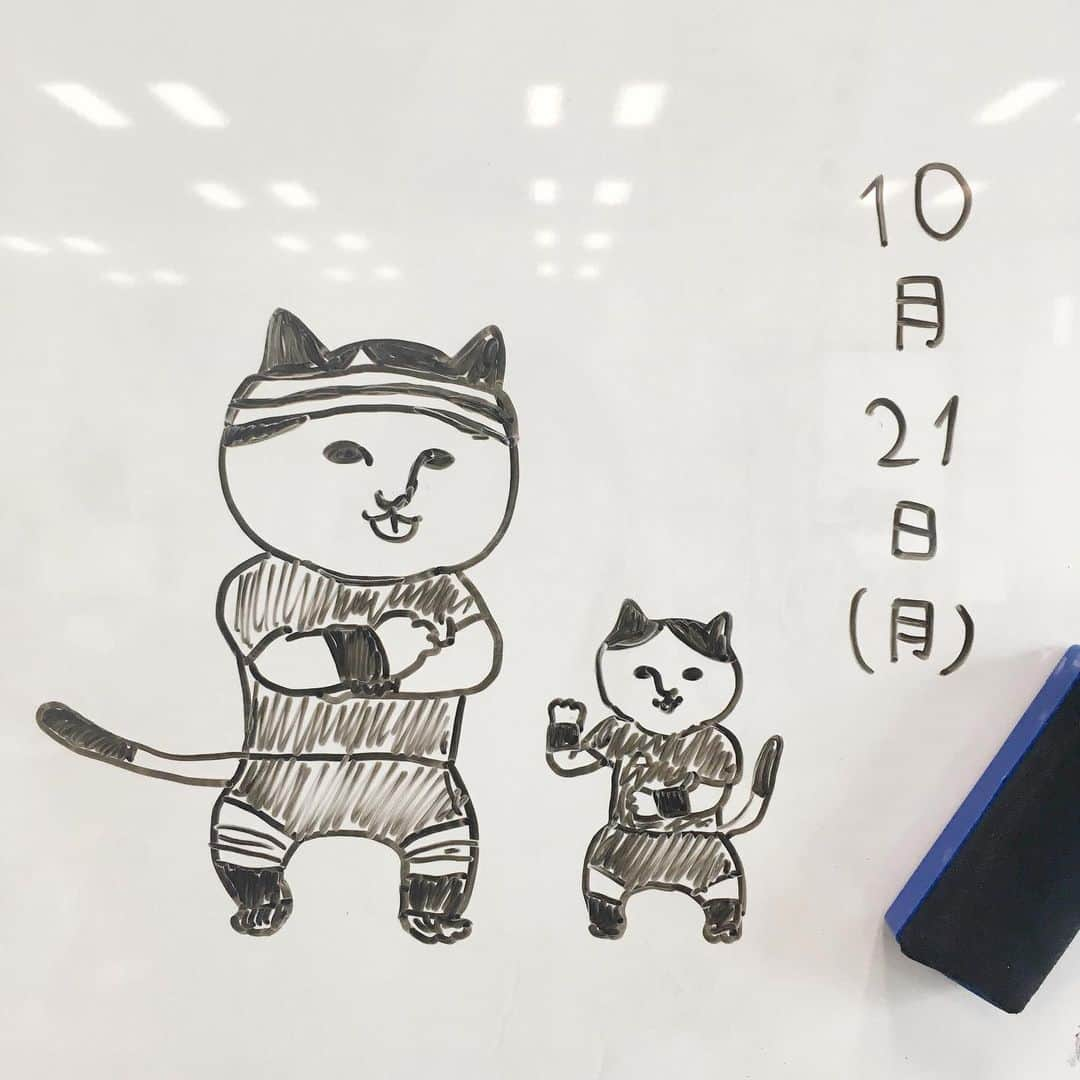 ねこのインスタグラム