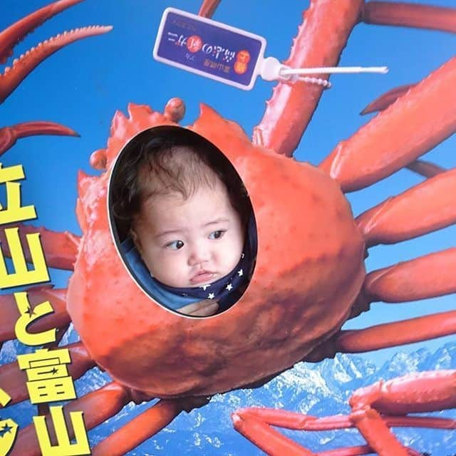 ままのてさんのインスタグラム写真 - (ままのてInstagram)「.⠀ 【キュートなカニさん🦀💕】⠀ .⠀ .⠀ #ままのて⠀ .⠀ 大きなカニからひょこっ❣️⠀ 可愛すぎます〜🥺💕⠀ .⠀ .⠀ #かおはめパネル⠀ #かに⠀ .⠀ .⠀ @hayato.0429様の投稿です。⠀ 素敵なお写真ありがとうございました💝⠀ .⠀ .⠀ 〈mamanote_officialのオリジナルキャンペーンへ参加しよう♡〉⠀ .⠀ お子様のかわいい動画、写真 ▶︎【 #ままのて 】.⠀ @mamanote_official をフォローして、 投稿する動画や写真に合ったオリジナルハッシュタグをできるだけ多くつけて、インスタグラムにアップしてみましょう！⠀ .⠀ .⠀ 毎日、担当者が投稿をチェックして、素敵な写真と動画をピックアップして、公式アカウントで紹介します❤️⠀ .⠀ そして！！毎月、ハッシュタグごとに、@mamanote_official がピックアップした写真の中で1番｢いいね｣の多い方に、アマゾンギフト券3000円分プレゼント！当選者にはDMを送らせていただきます♡.⠀ .⠀ また、動画や写真は、ままのてのFacebook、 またはウェブサイト 「ままのて」内の記事で紹介させていただきます🙌.⠀ .⠀ .⠀ #ベビーフォト#赤ちゃんのいる生活#キッズモデル#モニター#ベビーモデル#新米ママ#成長記録#子育て#育児ママカメラ#スマイル育児#こどもと暮らす#子育て記録#育児記録#ひよこクラブ#子育てグラム#ママさんと繋がりたい#ig_oyabakabu #ベビスタグラム#ママ友募集#コドモダカラ#followme#親バカ部#関西ママ#男の子ママ#生後5ヶ月」10月21日 14時00分 - mamanote_official