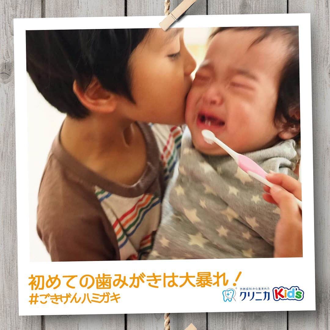 クリニカではじめよう予防歯科のインスタグラム：「今日の#ごきげんハミガキ♪﻿ ﻿ 皆さんこんにちは♪﻿ 今日は @haru2422さんの#ごきげんハミガキ です！﻿ ﻿ 末っ子くん、初めての歯みがきは大暴れ！﻿ ﻿ お兄ちゃんとお姉ちゃんが歯をみがいてあげたーい💕とお兄ちゃんがハブラシを持って挑戦しますが、ふんぞり返って暴れてしまうそう😊﻿ ﻿ ごきげんな写真は撮れなかったけれど、弟くんの元気な歯を守るために頑張る、まさにお兄ちゃんの愛ですね✨﻿ ﻿ ----------------------﻿ #ごきげんハミガキ の投稿を募集中！﻿ クリニカKid’s公式アカウントでご紹介させていただきます♪﻿ ----------------------﻿ ﻿ #クリニカ #クリニカキッズ #歯磨き #歯みがき #はみがき #ハミガキ #歯みがきタイム #育児 #育児日記 #育児記録 #子育て #仲良しきょうだい #子供の成長 #成長記録 #男児 #ほっぺにチュ #ママライフ #大暴れ #親バカ部 #親バカ日記 #子供のいる暮らし #ママカメラ #男の子ママ #子育てあるある #スマイル育児 #新米ママ #こんにち歯 #男の子ベビー」