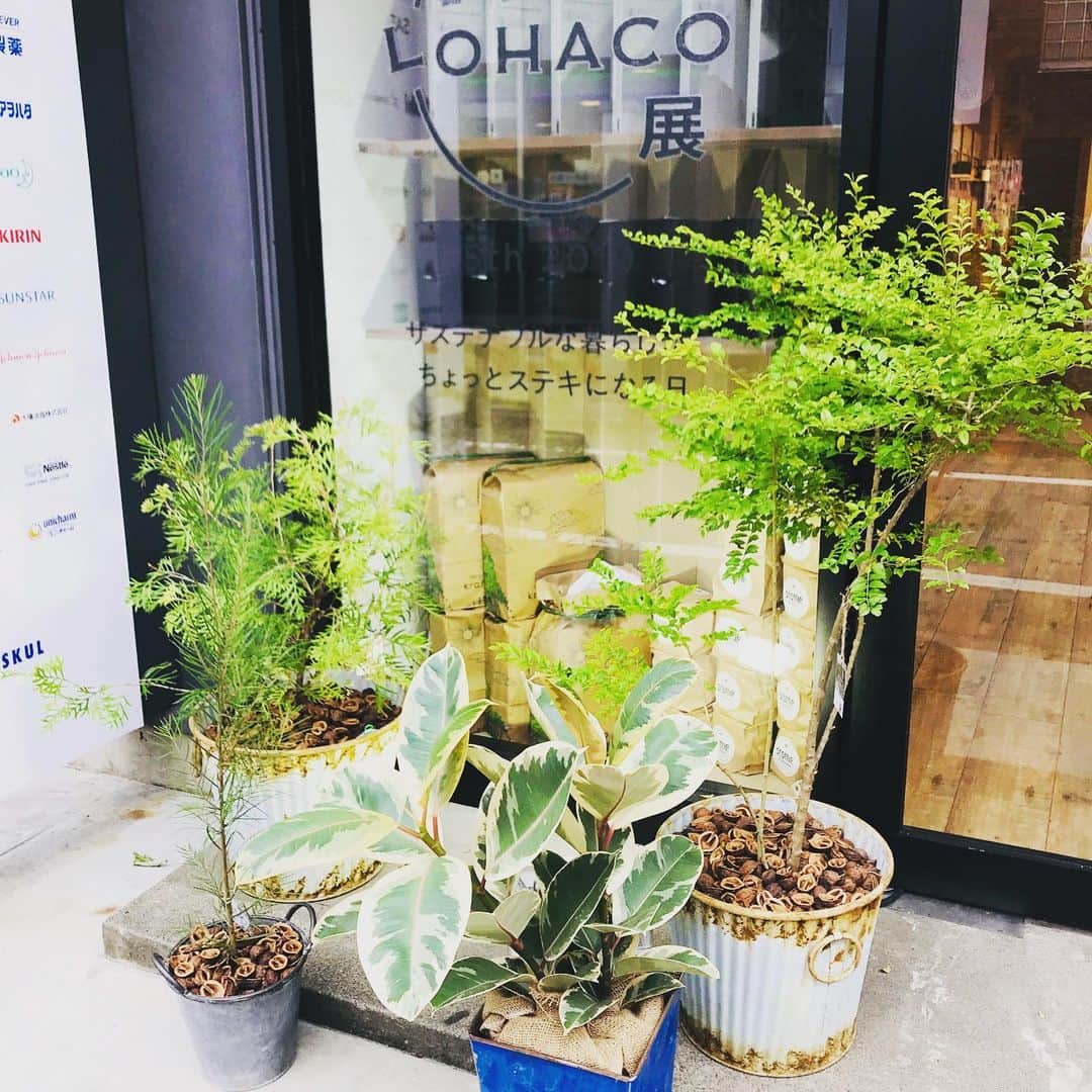 LOHACO（ロハコ）さんのインスタグラム写真 - (LOHACO（ロハコ）Instagram)「ここで、会場内のご紹介を少し！  会場に飾られている素敵な植栽は、@shop_charm_official チャームさんで販売している商品なんです！気になるものがあれば、ぜひチャームさんのお店でご購入ください🌿 ちなみに鉢の上にはチャーム担当者さんのアイデアでクルミを飾ってます🐿（写真4枚目） 可愛い！😍． ． #ロハコ #ロハコデザイン #暮らしになじむLOHACO展 #サステナブル #エコ﻿ #なんでもロハコ #ロハコ #LOHACO﻿ #暮らし #くらし #lohacobyaskul #askul #アスクル」10月21日 14時38分 - lohaco.jp