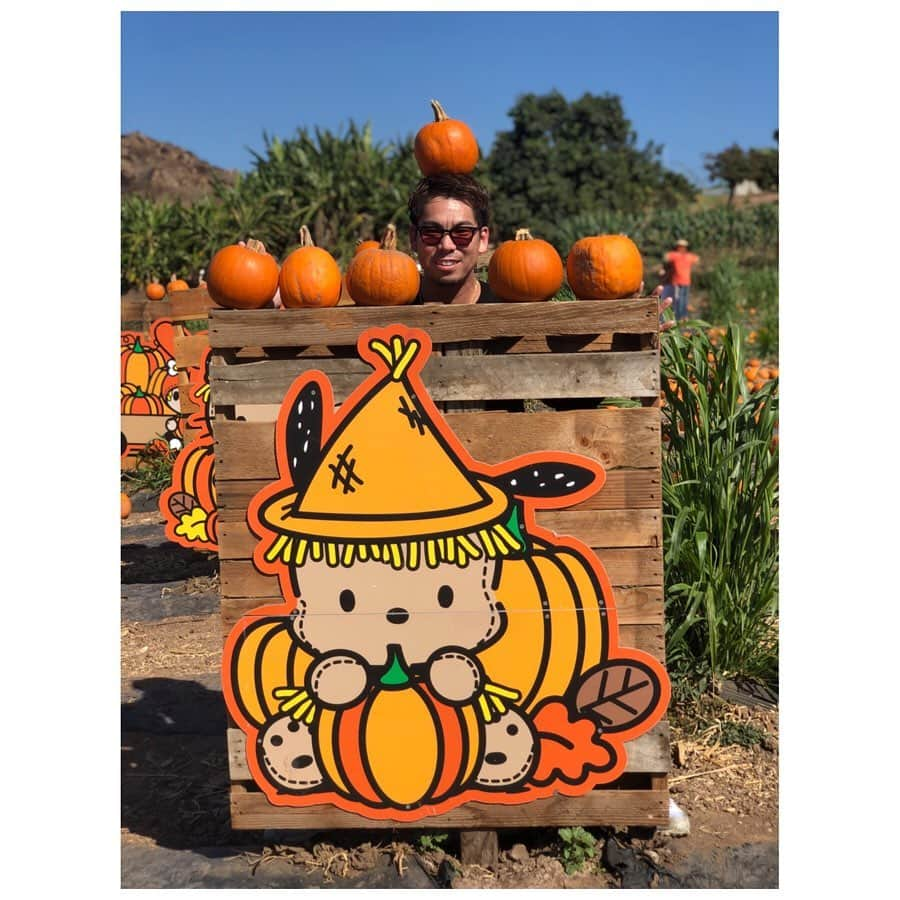 前田健太さんのインスタグラム写真 - (前田健太Instagram)「Pumpkin Patch🎃 Tanaka Farmsへハロウィン用のパンプキンを買いに行ってきました✨ またまたかぼちゃだらけの場所へ。笑 #pumpkin  #パンプキン #ハロウィン #tanakafarms  #一面 #かぼちゃだらけ #子供たちが楽しめる場所もある #かぼちゃ見飽きた #笑」10月21日 15時01分 - 18_maeken