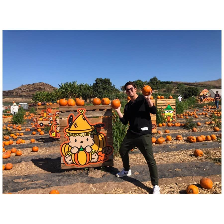 前田健太さんのインスタグラム写真 - (前田健太Instagram)「Pumpkin Patch🎃 Tanaka Farmsへハロウィン用のパンプキンを買いに行ってきました✨ またまたかぼちゃだらけの場所へ。笑 #pumpkin  #パンプキン #ハロウィン #tanakafarms  #一面 #かぼちゃだらけ #子供たちが楽しめる場所もある #かぼちゃ見飽きた #笑」10月21日 15時01分 - 18_maeken