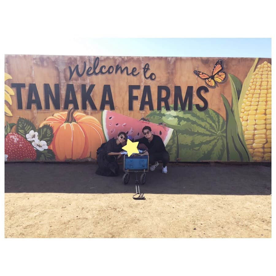 前田健太さんのインスタグラム写真 - (前田健太Instagram)「Pumpkin Patch🎃 Tanaka Farmsへハロウィン用のパンプキンを買いに行ってきました✨ またまたかぼちゃだらけの場所へ。笑 #pumpkin  #パンプキン #ハロウィン #tanakafarms  #一面 #かぼちゃだらけ #子供たちが楽しめる場所もある #かぼちゃ見飽きた #笑」10月21日 15時01分 - 18_maeken