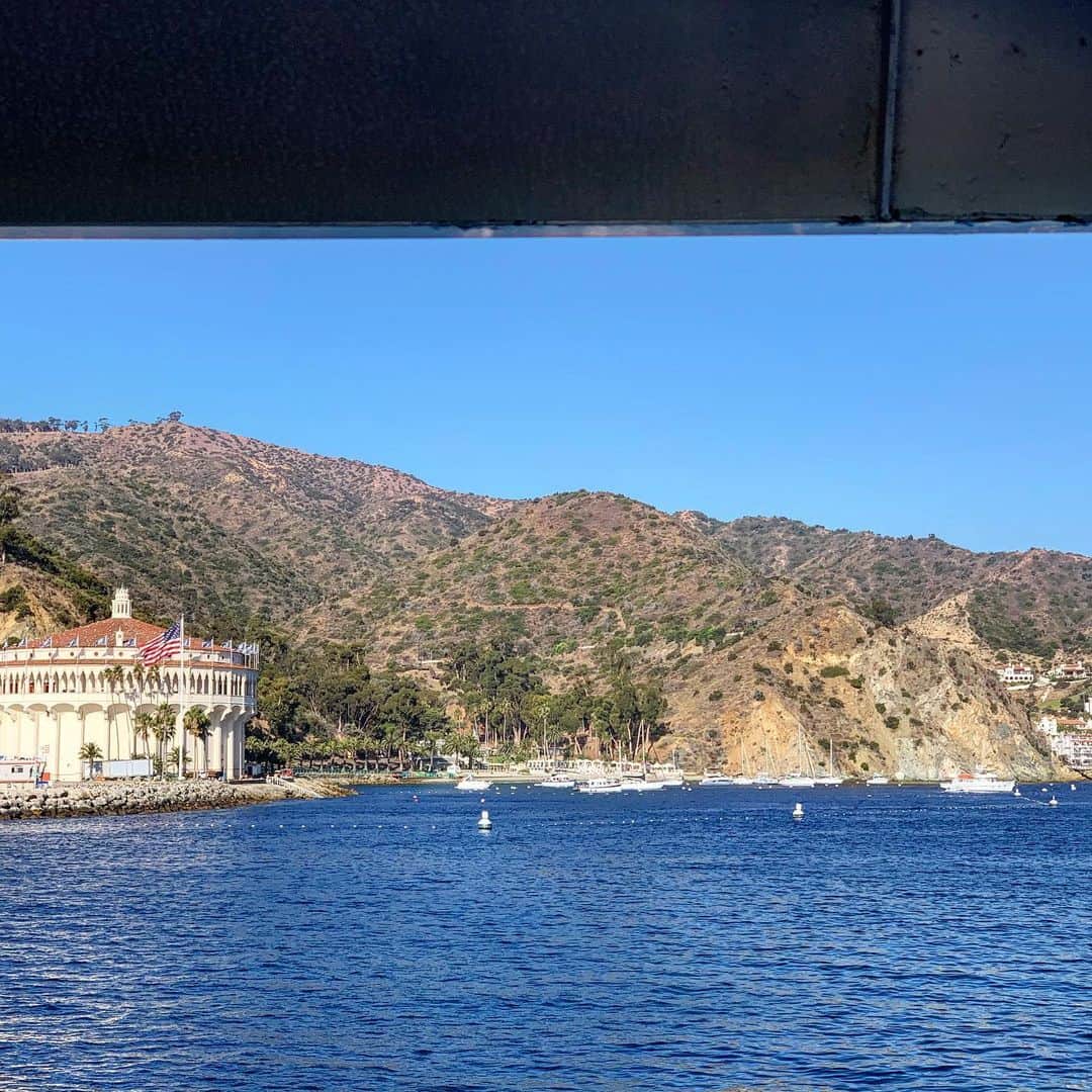 シェーン・ガラースさんのインスタグラム写真 - (シェーン・ガラースInstagram)「Epic day yesterday playing and hangin’ with The Special EFX Allstars on lovely Catalina Island. ♥️#catalinajazztraxfestival  @chielimusic @laotizer @nelsonrangellmusic @crawfordbass @titajoh」10月22日 2時18分 - shanegaalaasofficial