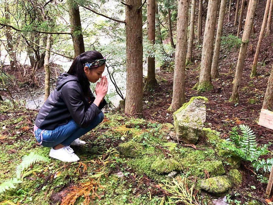 遊海 Yuumiさんのインスタグラム写真 - (遊海 YuumiInstagram)「Try Shin-Rin therapy when ur in stress or need a rest in your mind 🌲🍃🌿 @inaka_tourism @misugi_resort #inakatourism #misugiresort #hinotanionsen #misugi #美杉　#若宮八幡宮　#美杉リゾート　#自然　#森林　#日本の文化　#misugiforest」10月21日 19時28分 - yuumi_kato