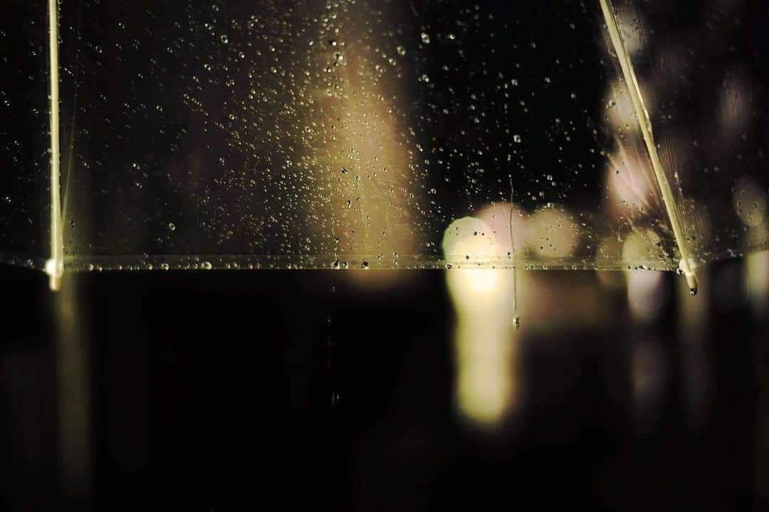 大杉隼平さんのインスタグラム写真 - (大杉隼平Instagram)「徳島。小さい頃に連れて来てもらった場所を歩く。  あの日も雨が降っていた。  閉じられたシャッター。 人のいない商店街。  それでも街には灯がともり、光が見える。  雨の音。久しぶりにゆっくりと街を歩いた。  徳島で写真を飾って頂ける場所が持てそうです。  #写真 ＃photography #photographer #故郷 #雨 #rain #rainyday #ライカ #leica #50mm #徳島 #tokusima #記憶 #memories #大杉隼平 #shumpeiohsugi #shumpeiohsugi_photographer」10月21日 20時38分 - shumpeiohsugi_photographer
