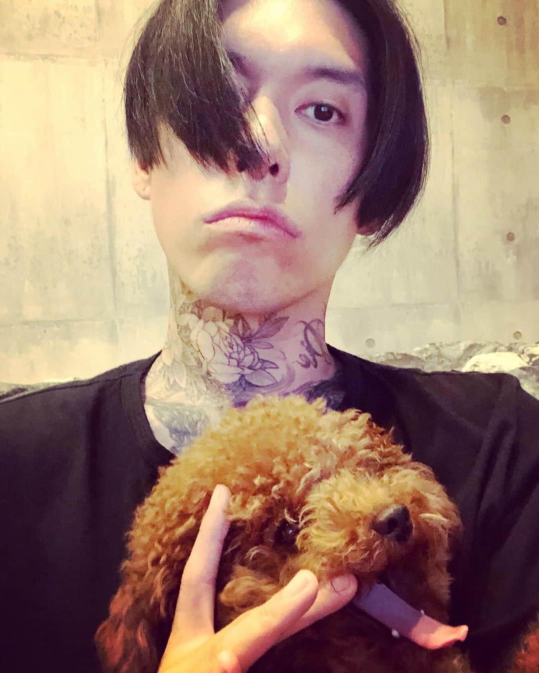 葉月さんのインスタグラム写真 - (葉月Instagram)「犬と人  ねよっかな」10月21日 20時56分 - lynch_hazuki