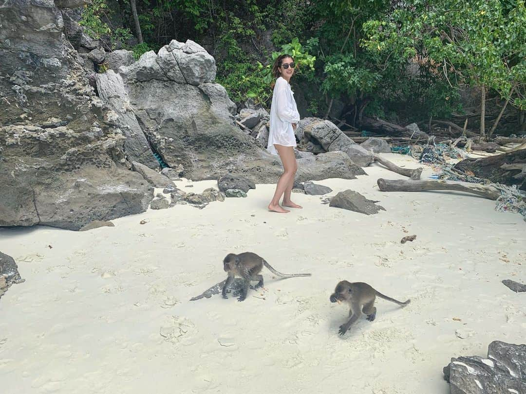 有末麻祐子さんのインスタグラム写真 - (有末麻祐子Instagram)「モンキービーチ🐒 こんなにも沢山の猿に囲まれたのはきっと人生初w しかも野生！でも野生なのでいい距離感を保たないと攻撃されちゃうので、気をつけたほうがいいです💥(3枚目がそれwボスっぽいのがお目当てのペットボトルを奪いこちらに向かってきたので私も即距離感を笑)」10月21日 21時42分 - mayukoarisue