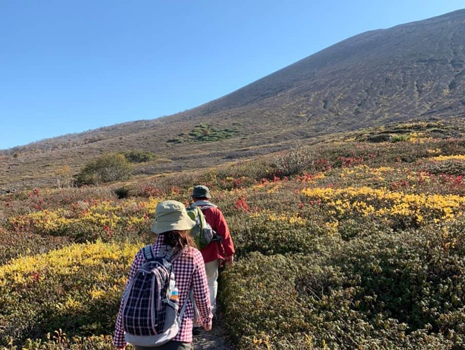 佐藤彩さんのインスタグラム写真 - (佐藤彩Instagram)「念願の樽前山へ⛰  昨日は素晴らしい秋晴れ☀️ 紅葉も美しく、絶好の登山日和のなか、とても気持ち良かったです😊  それぞれのスポットによってどんどん移り変わる景色を見ていると、なんだか旅行している気分にもなりました🌟 素敵な山ですね☺️ . . そして、山登りのときにジャンプするのはわりとやっているのですが、今回は溶岩ドームとのコラボで撮影できるので、たくさん撮って撮って…なんとか形に。笑 最後の写真は絶対的な自信作かと思ったのですが…よく見るとちょっと恥ずかしい感じになってしまい… 最後にしています😅  山頂付近の風はものすごくて…近藤さんの体感では風速12.3mくらいあったのではないかと。 そんななかでも気の置けない仲間とおしゃべりしながらの登山は楽しくて仕方ない時間でした😆 溶岩ドームを前に近藤さんが淹れてくれたコーヒーで体が温められたというのもありがたかったです✨  また登りたい山、樽前山です😄  #樽前山 #風強い #溶岩ドーム #支笏湖 #HBC #アナウンサー #近藤肇 アナ #佐藤彩」10月21日 22時00分 - hbc_ayasato