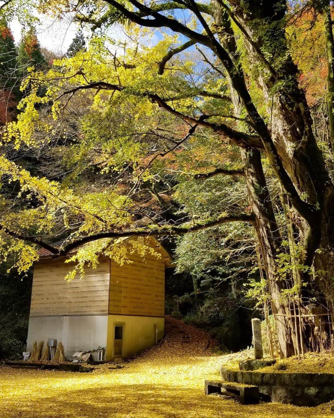 ENGIYA｜縁器屋のインスタグラム