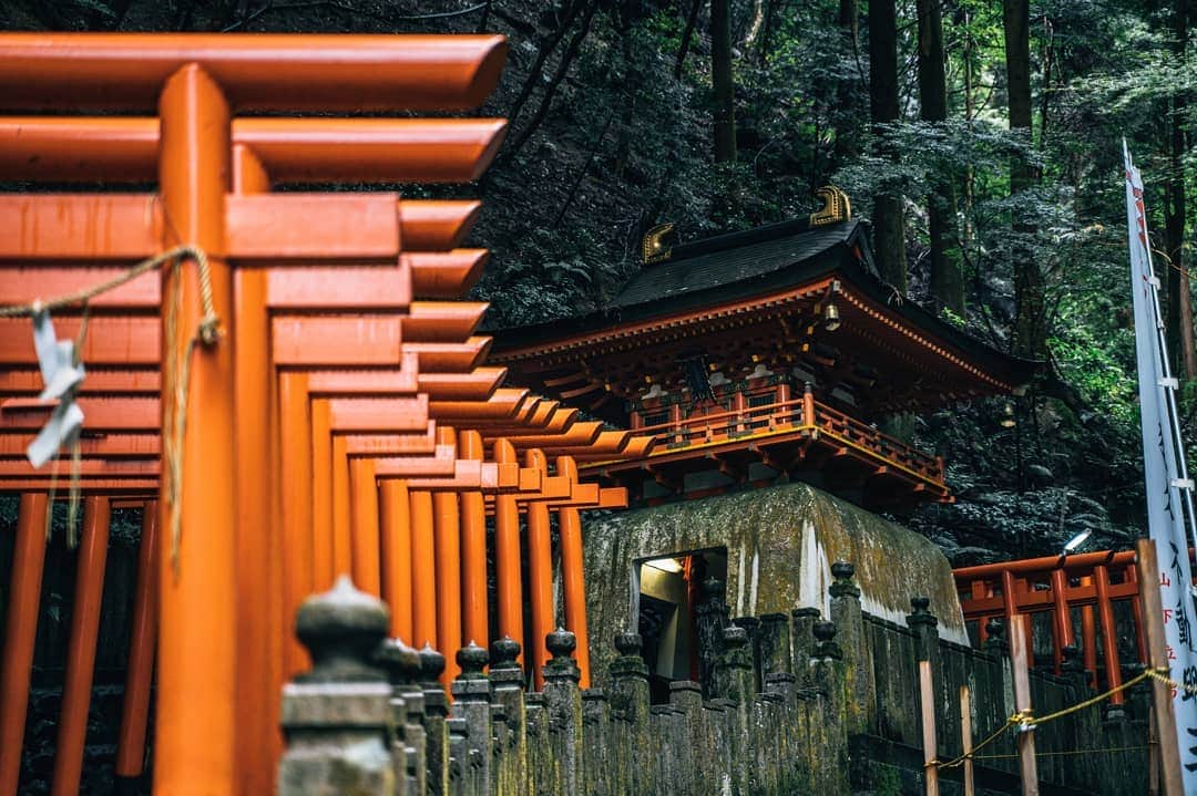 京都いいとこフォトさんのインスタグラム写真 - (京都いいとこフォトInstagram)「. 左京区一乗寺の狸谷山不動院。 参道入り口で迎えてくれるタヌキ、 千本鳥居を思わせるような鳥居、 清水の舞台と同じ「懸崖造り」で建てられた舞台と、 見所満載のお寺です。 実はここで紹介しきれていない見所もまだまだたくさんあります。 ぜひ実際に訪れてみてくださいね。 . The Tanukidansan Fudoin temple in Ichijoji, Sakyo-ku. Raccoon greets you at the entrance of the approach, Torii reminiscent of Senbon Torii, The stage built in the same "skevet-building" as the stage of Kiyomizu, It is a temple full of attractions. In fact, there are still many charms that cannot be introduced here, so please visit there. . . . Date : 2019.10.15 Location : #TanukidanisanFudoin #狸谷山不動院 Photo : @hino0117 .」10月21日 22時30分 - kyoto_iitoko