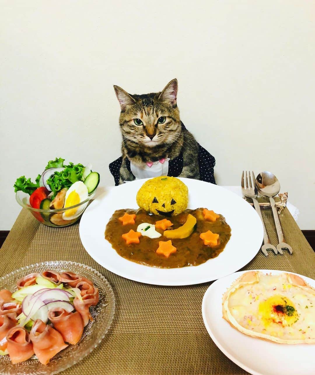 マロさんのインスタグラム写真 - (マロInstagram)「Halloween Curry🎃　SWIPE▶️ ☆ いつもコメントありがとうございます😸🙏💕 返信出来なくてすみません🙇‍♀️ 全て拝見しています🐾 ☆ Thank you for your kind comments😸🙏💕 I'm sorry that I couldn't reply. ☆ #cat#cats#catsofinstagram#😻 #curry#food#halloween#ねこ #にゃんすたぐらむ#猫#ねこ部 #ふわもこ部#カレー#ハロウィン  #ハロウィンカレー#カレー部 #猫のいる暮らし#食卓」10月21日 22時53分 - rinne172