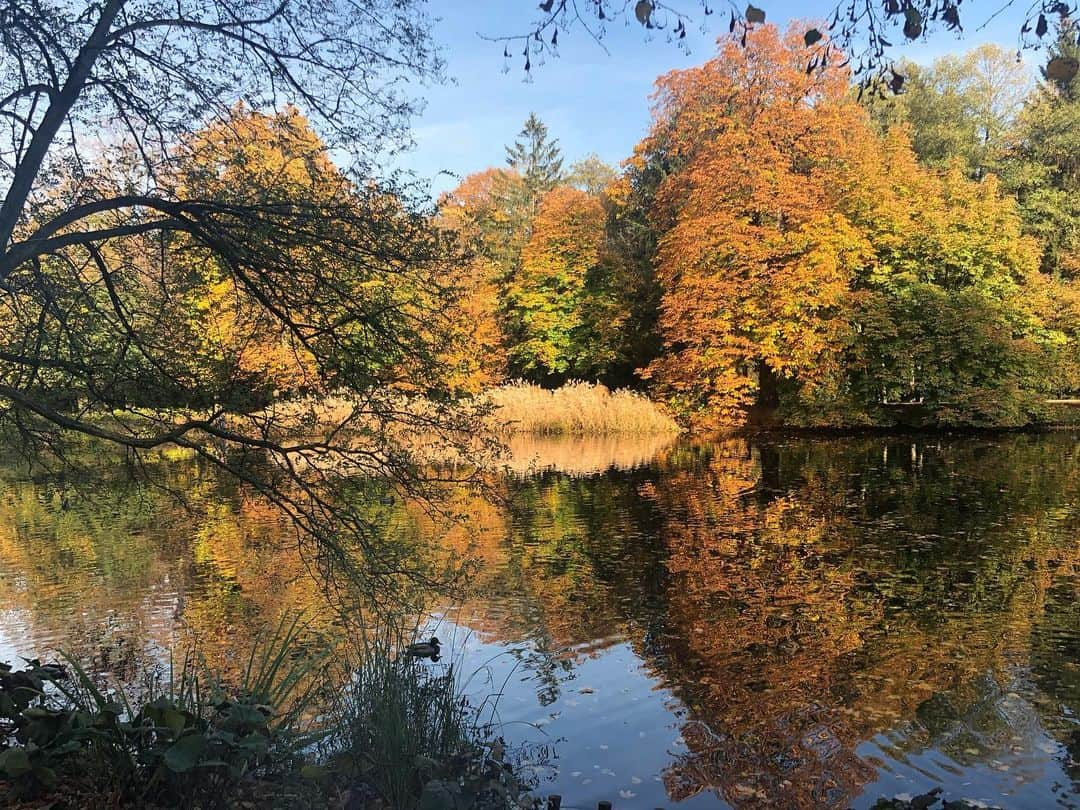 カシア・ストラスさんのインスタグラム写真 - (カシア・ストラスInstagram)「🎨🍁🔮🍁」10月21日 23時59分 - kasiastruss