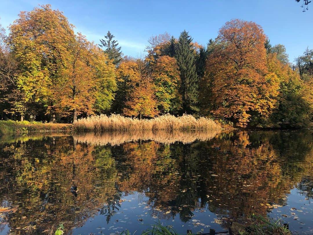 カシア・ストラスのインスタグラム：「🎨🍁🔮🍁」