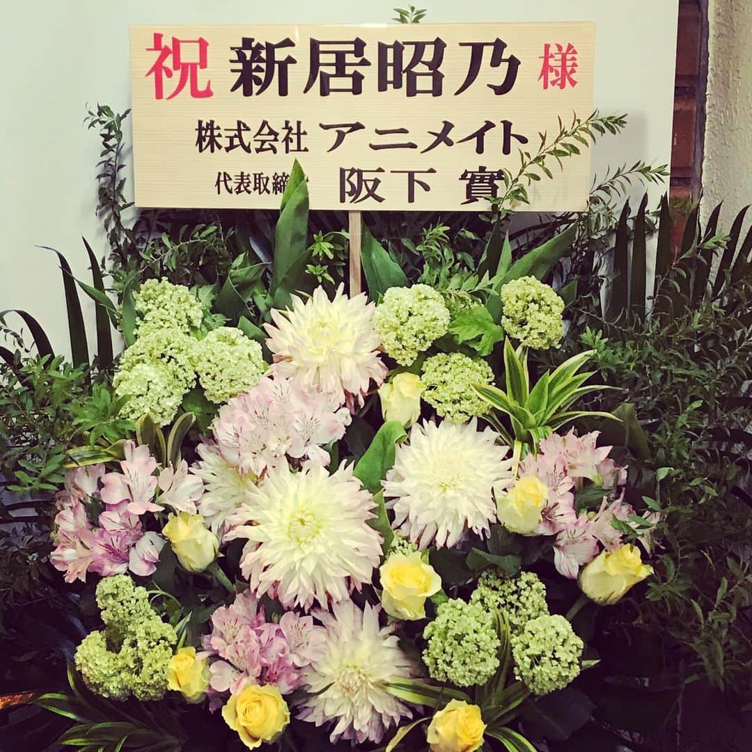 新居昭乃のインスタグラム：「FCイベントに送っていただいたお花🌸　小雨の中会場に着いてお花を目にした時とても嬉しかったです。。♡」