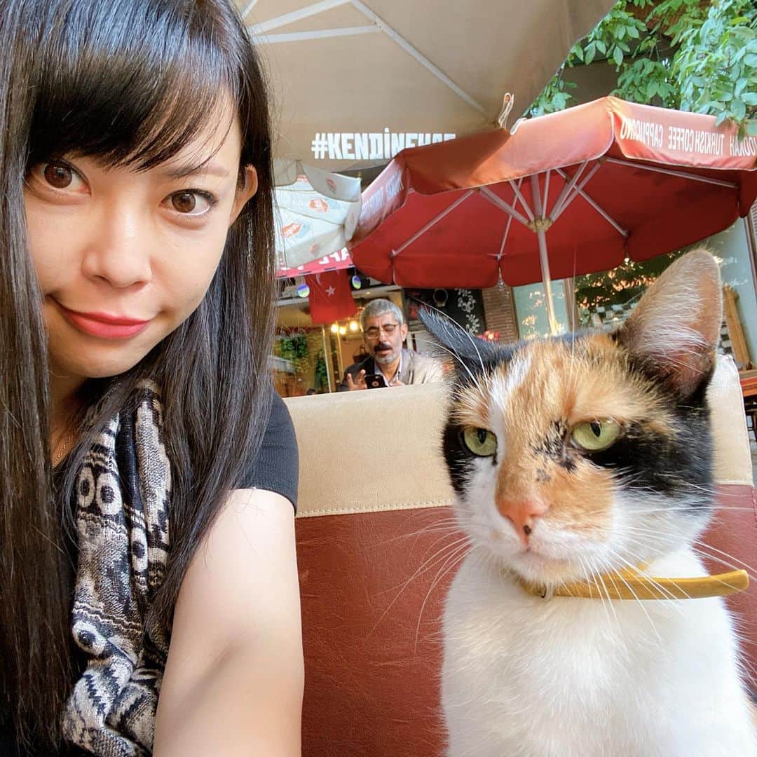 のインスタグラム：「#トルコ猫 と #ciaoちゅーる で #国際交流 。 日本だと外猫への餌付けは厳禁だけど、トルコはみんなガンガン自分の食べてる物を分け与えていると聞いて、わざわざ空輸してきたのだ。 #ちゅーる をあげてJapanese famous cat foodだよとトルコ人に言うとみんな嬉しそうだった。トルコ猫は最初は怖々、味を知った瞬間、目を輝かせて夢中になって食べるから、ちゅーるは世界共通で美味いのだろう。 _  #あいさんの旅日記 #cat #turkishcat #instacat #catstagram #catsagram #にゃんすたぐらむ #ねこ #cats_of_instagram #catlovers #cats_of_world #cats  #trip #Istanbul #イスタンブール #イスタンブール旅行 #instatravel #instatrip #travelphotography #travel #travelgram #トルコ #トルコ旅行 #Turkey #女子旅」