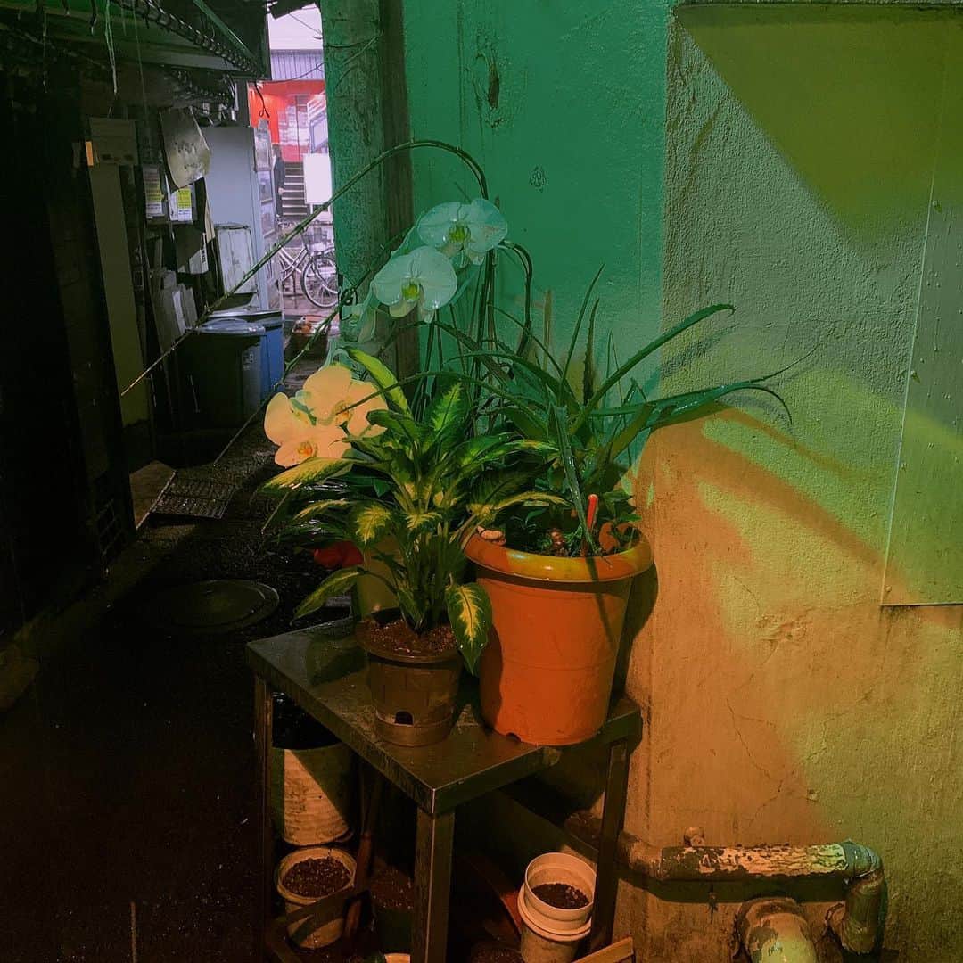 小谷実由のグルメインスタ