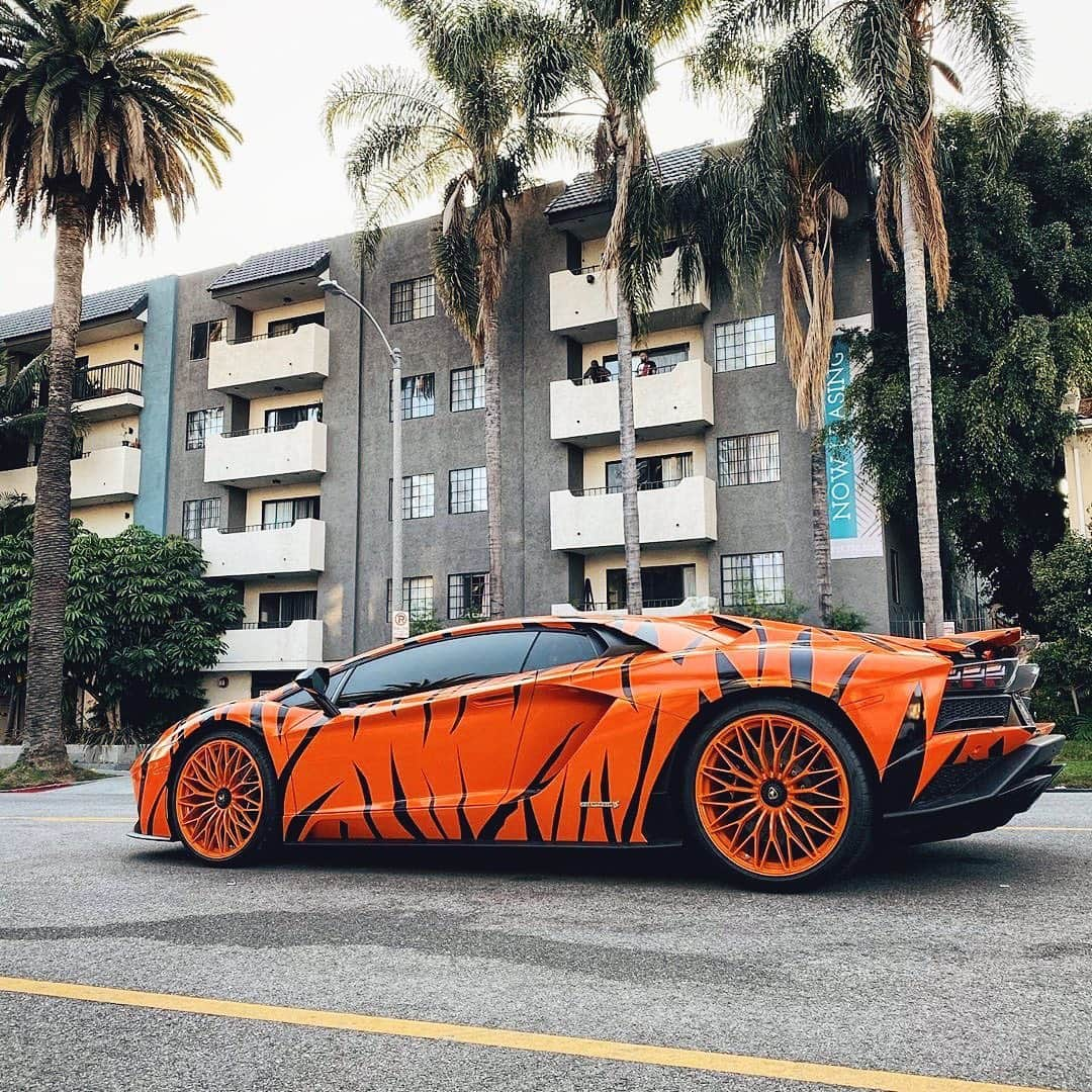 CARLiFESTYLEさんのインスタグラム写真 - (CARLiFESTYLEInstagram)「Aventador Tiger 👍🏼or👎🏼? by @rdbla #RDBLA #carlifestyle #aventador」10月22日 12時44分 - carlifestyle