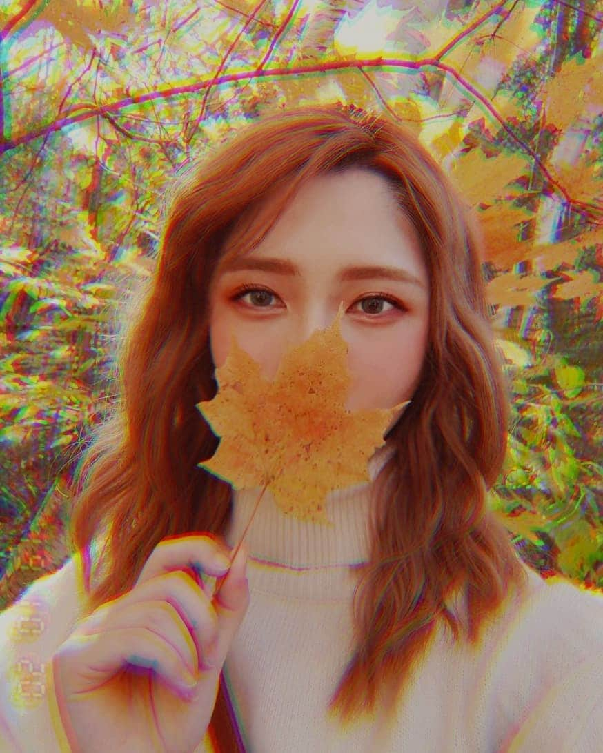 ひかりんさんのインスタグラム写真 - (ひかりんInstagram)「Take a walk with us 👈👈👈👈 scroll #autumn #canada」10月22日 12時19分 - __hikarin