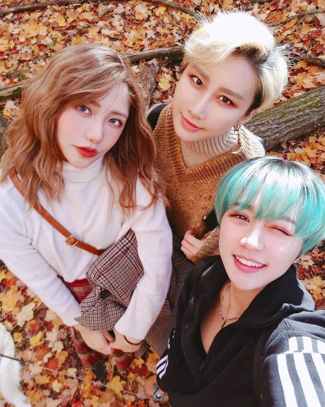 ひかりんのインスタグラム：「Take a walk with us 👈👈👈👈 scroll #autumn #canada」