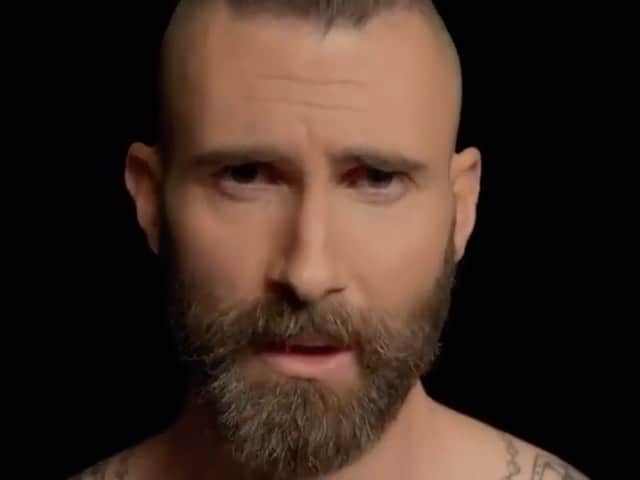 楽天市場】ポップアートフレーム Adam Levine アダム レヴィーン