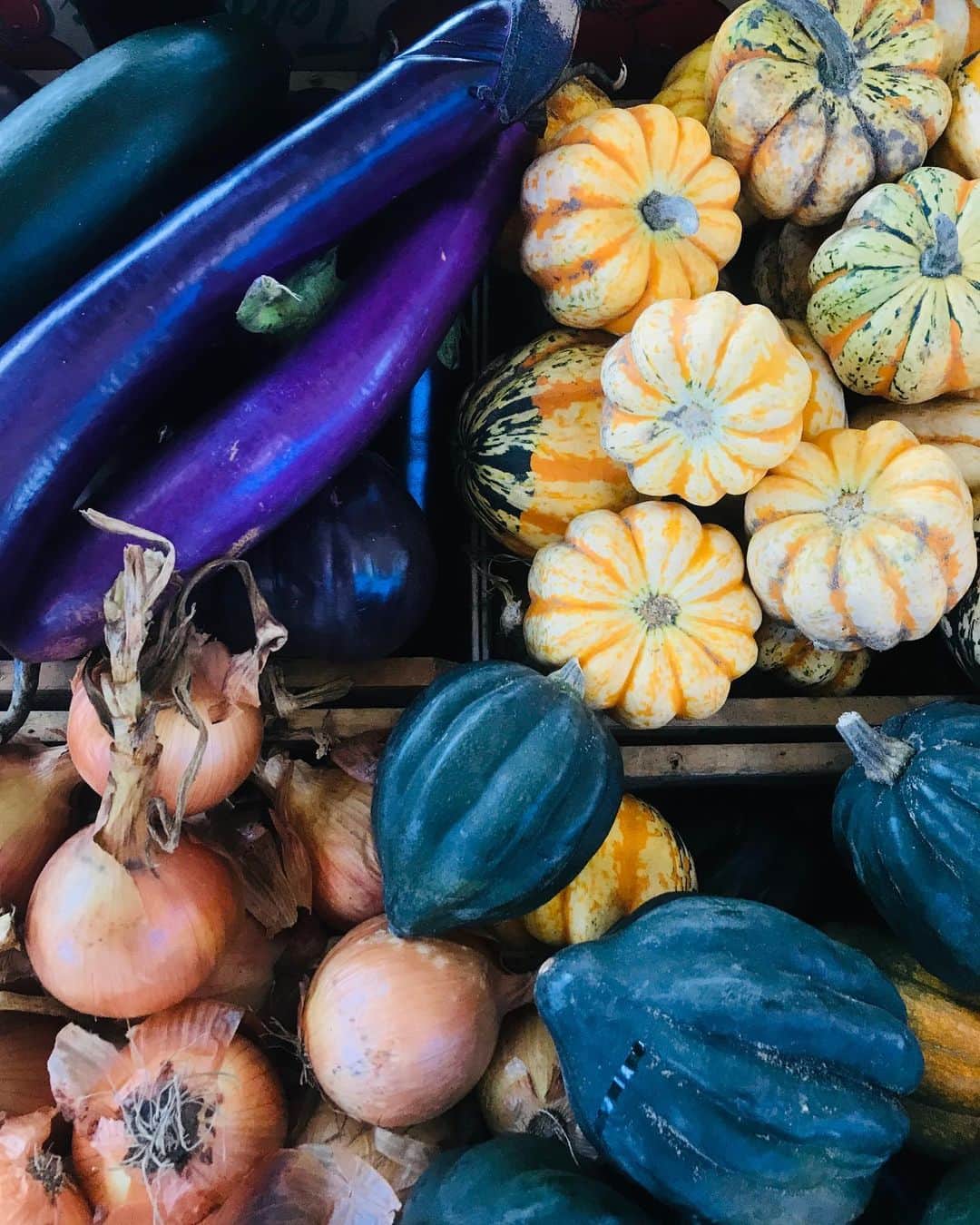 のインスタグラム：「Fall palette 🎨」