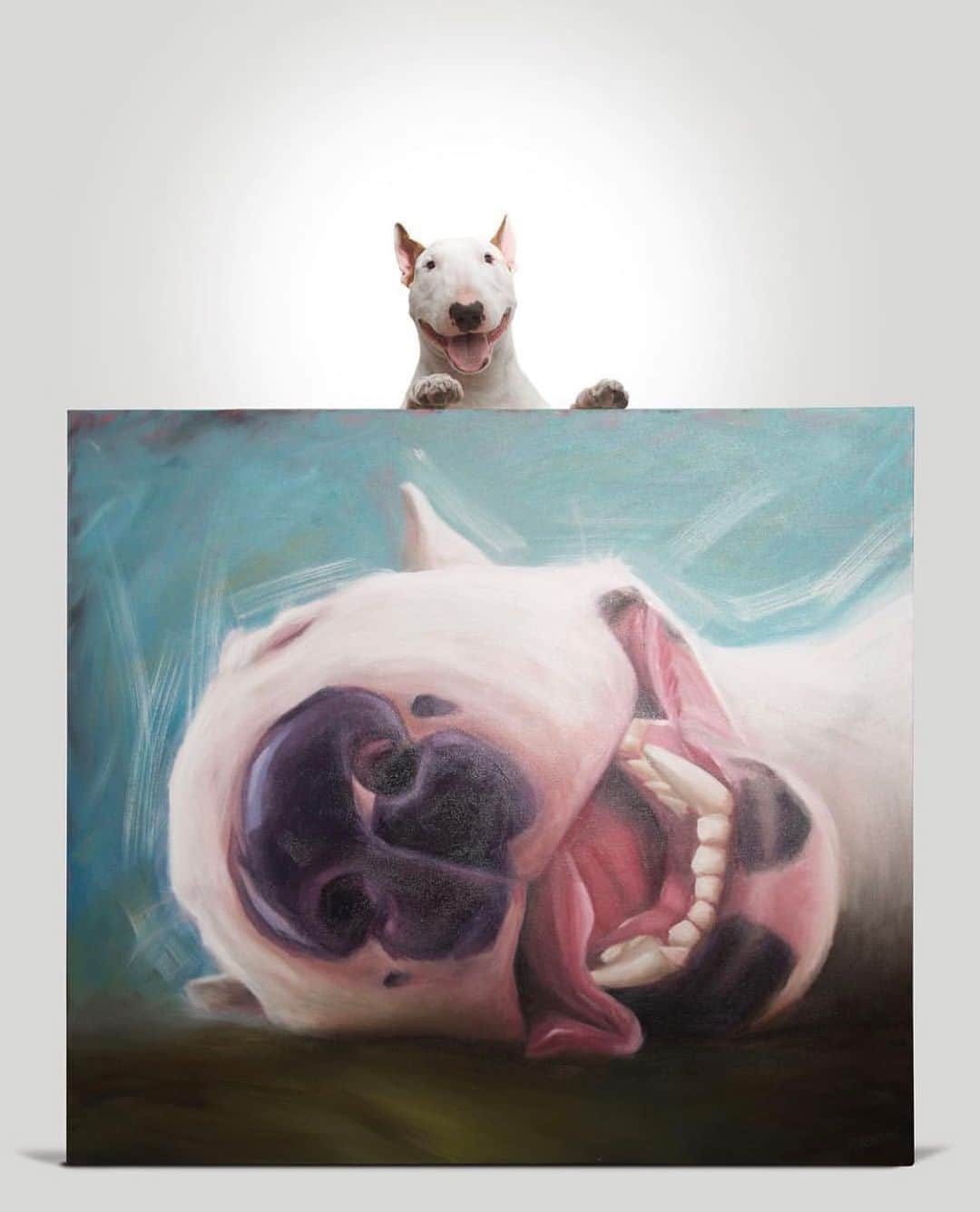 ラファエルのインスタグラム：「for those who asked me about the Jimmy’s artwork on my last post. It was made by my friend and great artist @artrocha . He is very talent on capture dogs spirit throught paints. He rocks! . . pra quem me perguntou sobre o quadro do ultimo post. ele foi feito por um amigo e grande artista @artrocha . Ele eh super talentoso em capturar o espirito dos cachorros atraves da pintura. Ele eh foda.」