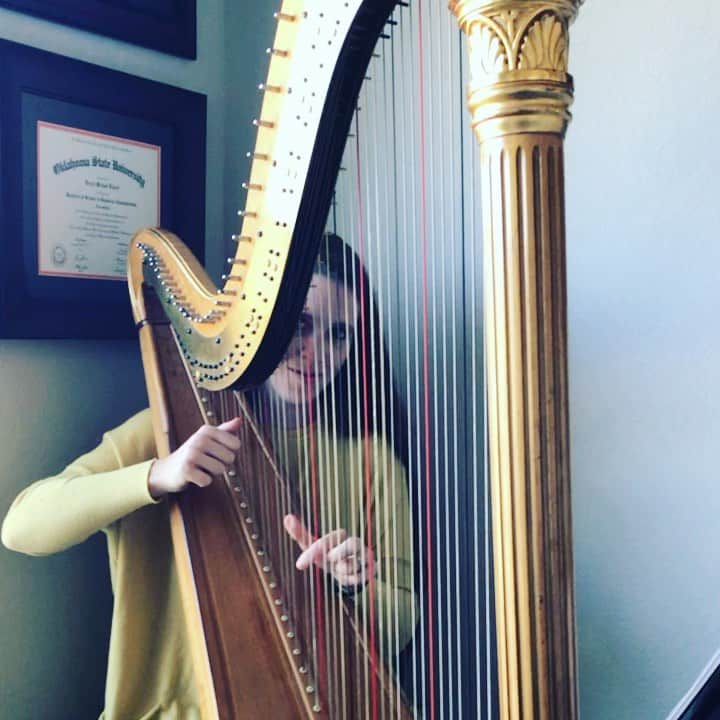 デリック・ディラードのインスタグラム：「Fun family time during law school fall break = I get to be serenaded with beautiful harp music from Jill while I study! 😃 🎼 🎶」