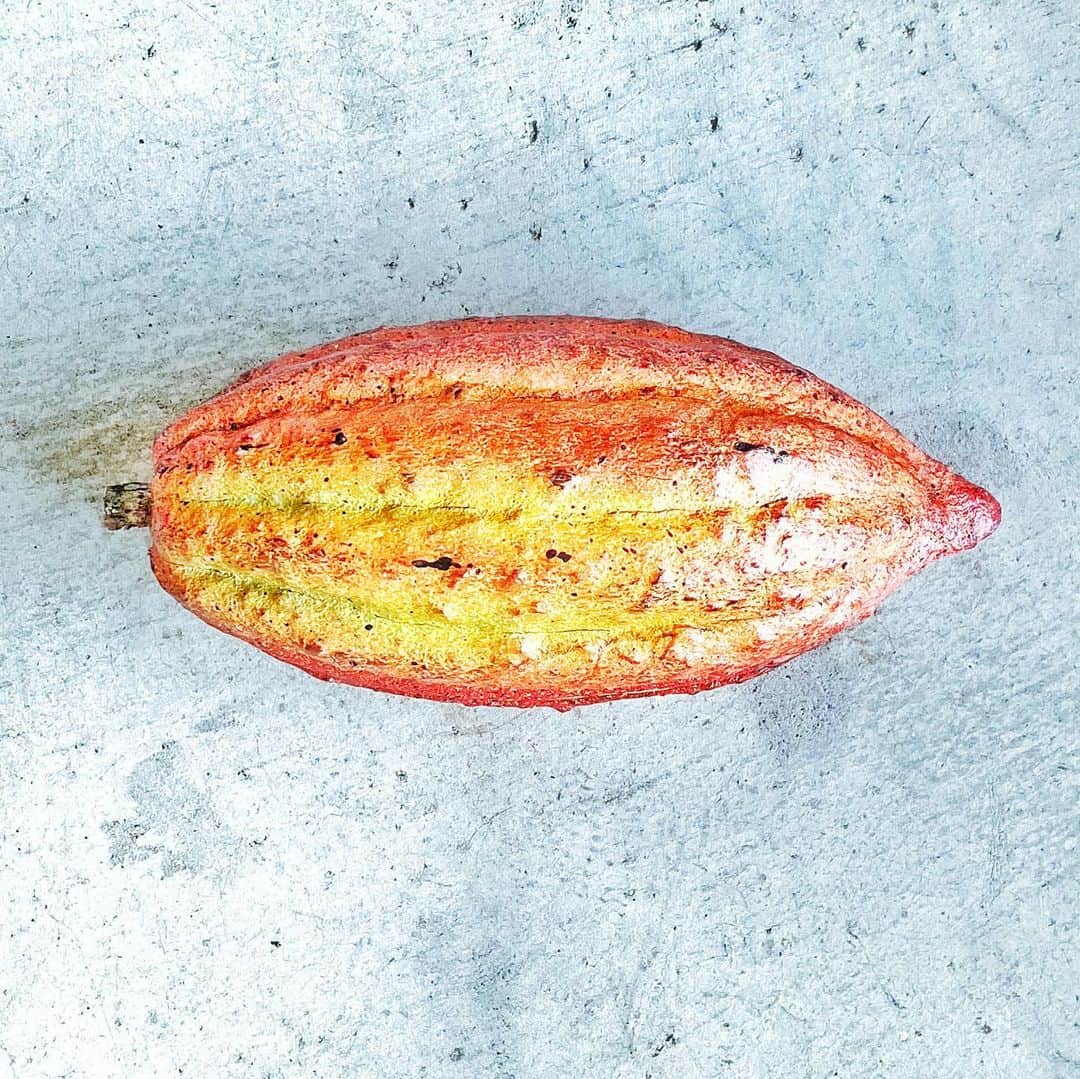 Concheのグルメインスタ