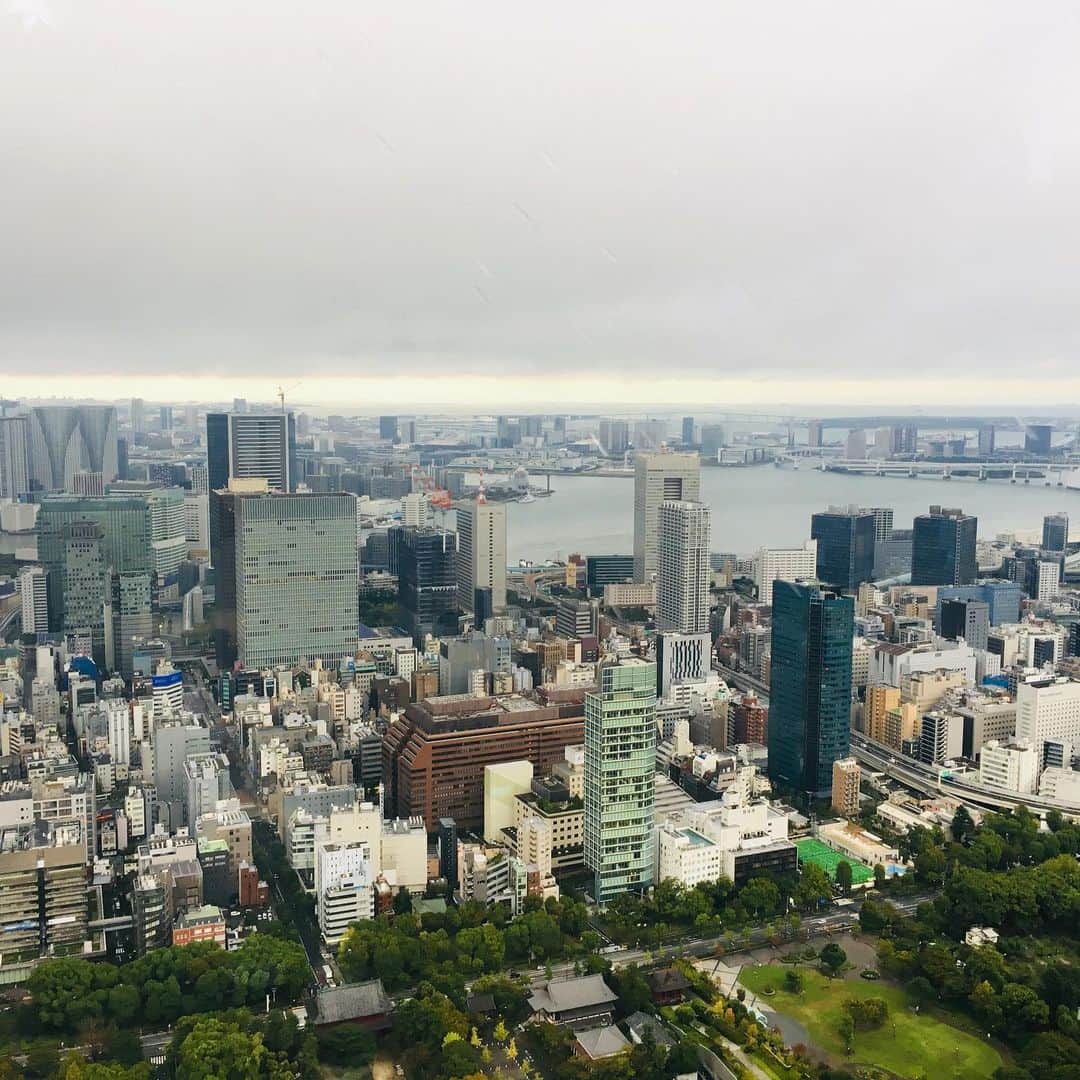 東京タワーさんのインスタグラム写真 東京タワーinstagram 即位の礼の朝 高さ250mのトップデッキ 東の空は 雲が立ち込めていますが 景色は綺麗に見えてます トップデッキ 東京タワー Tokyotower 即位の礼 10月22日 8時10分 Tokyotower Official
