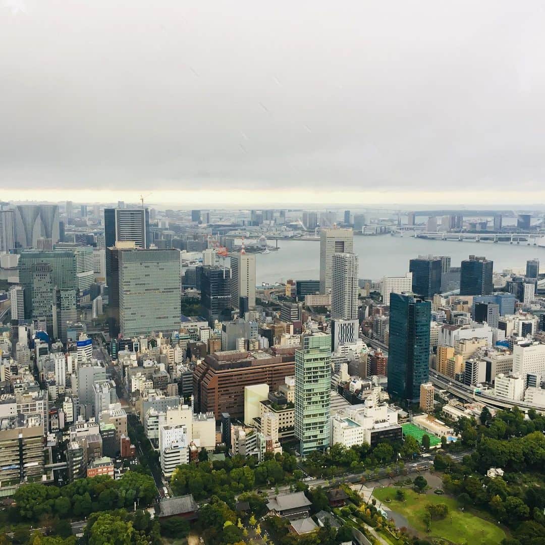 東京タワーさんのインスタグラム写真 - (東京タワーInstagram)「即位の礼の朝。 高さ250mのトップデッキ。 東の空は、雲が立ち込めていますが 景色は綺麗に見えてます。 #トップデッキ #東京タワー #tokyotower  #即位の礼」10月22日 8時10分 - tokyotower_official