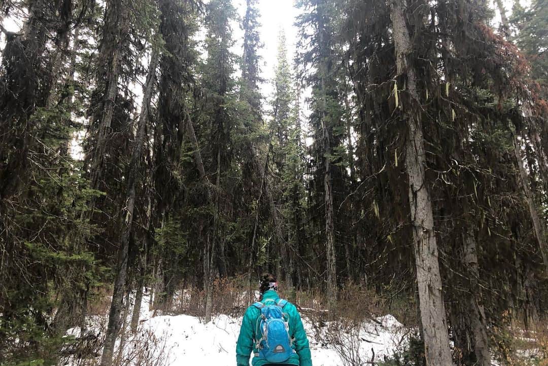 ヘイリー・ベルさんのインスタグラム写真 - (ヘイリー・ベルInstagram)「Obviously happy to be back in the mountains today! 🏔❄️ . . . . #kananaskiscountry #explorealberta #hike #hikealberta #rummellake #snow #canadianrockies」10月22日 8時40分 - hayleighbell