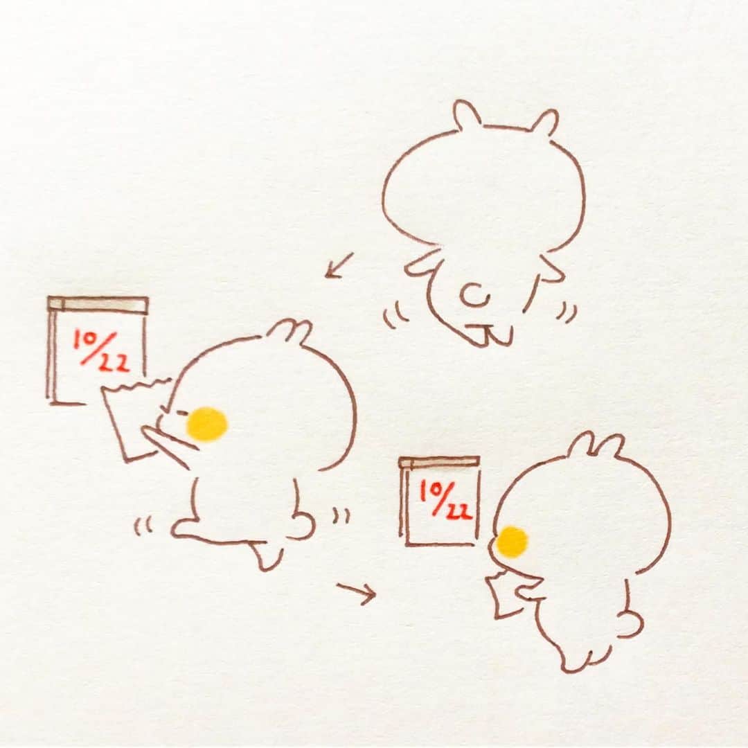 カモのインスタグラム