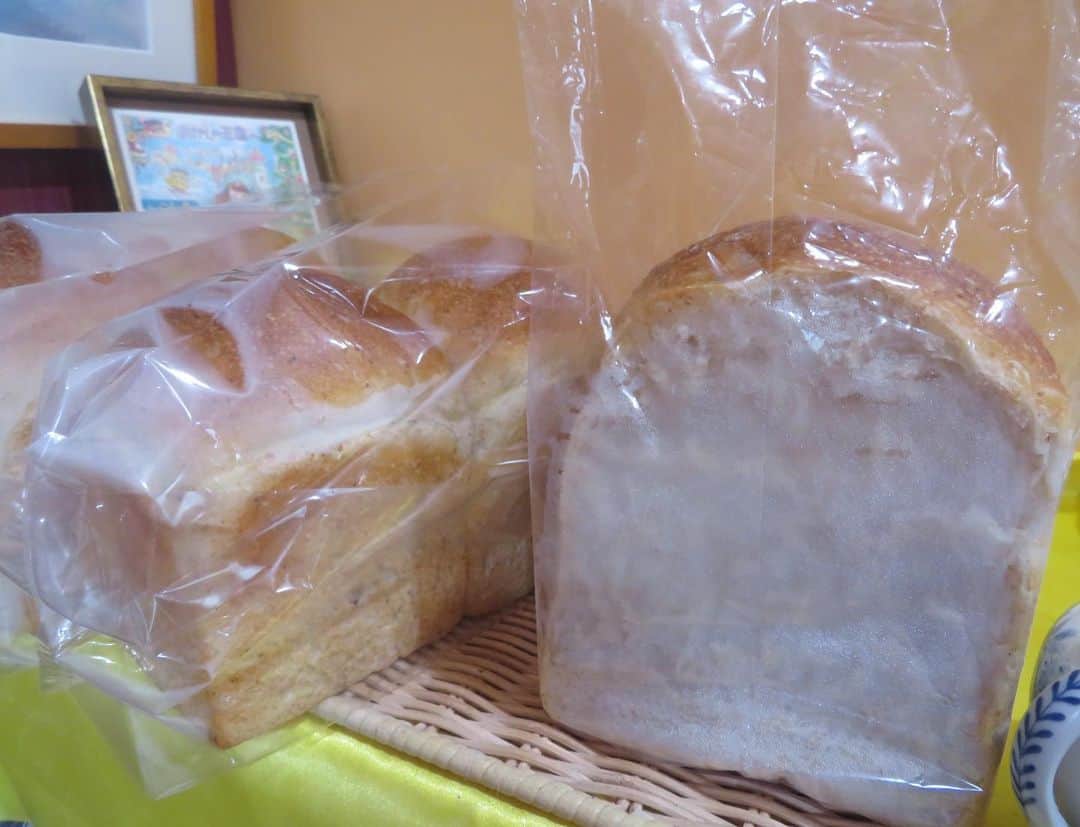 魔女菅原のグルメインスタ