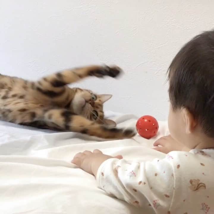 なつこのインスタグラム