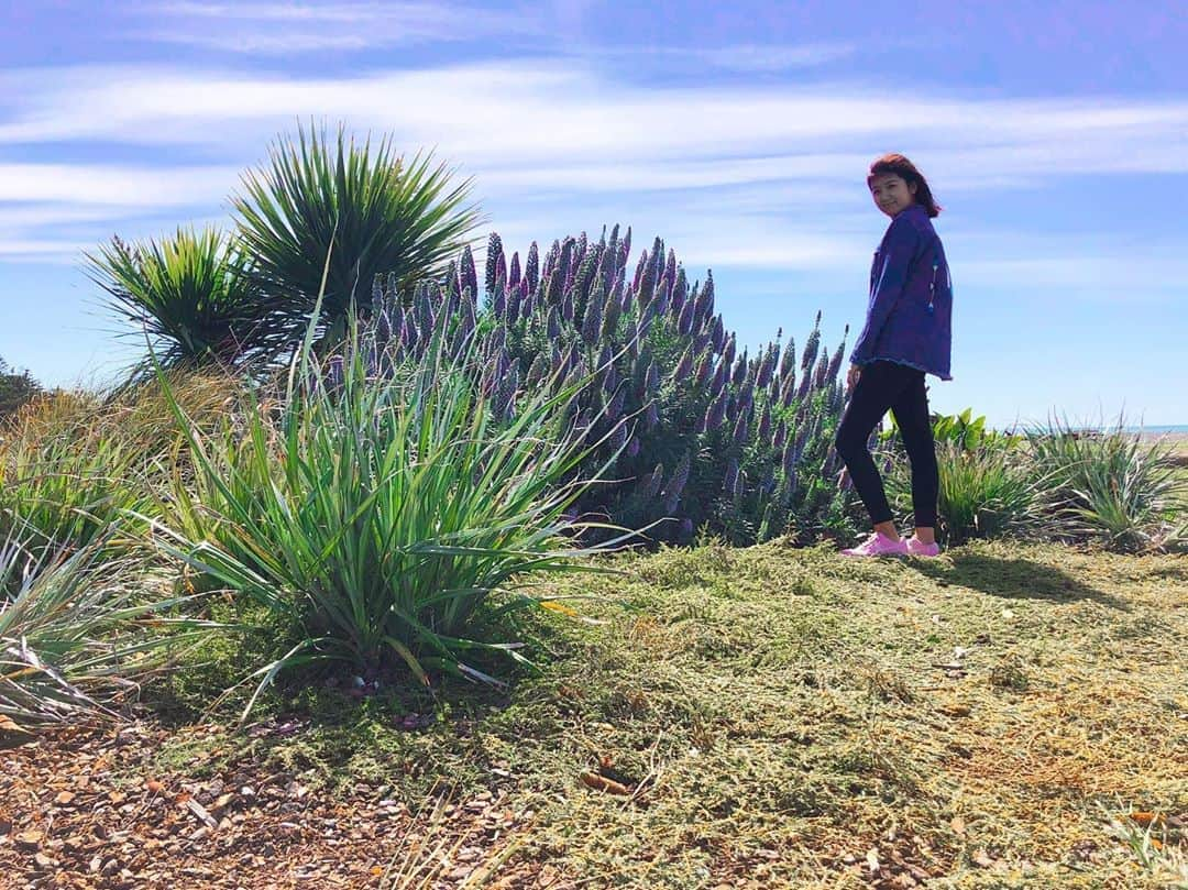 徳永千奈美さんのインスタグラム写真 - (徳永千奈美Instagram)「I feel comfortably warm in the spring sun 🌞  冬はなんとなく失速してた気がするけど、こういう時、人生は楽しい！  最近はジムの事で頭がいっぱい🔥 もーすぐで30歳だから体とか健康とかも気をつけなくちゃと考える日々〜💭 頭を整理して全力で楽しもう🔥  #abroad  #livingabroad  #spring #slowlife  #海外 #海外生活」10月22日 13時17分 - chinami.tokunaga