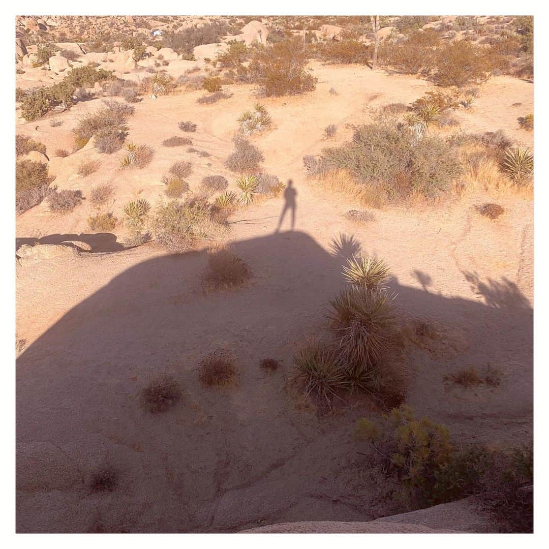 のインスタグラム：「I have been an independent small retailer for the better part of 22 years.  My first shop was in downtown NYC pre Barneys Co-op ... so imagine Barneys was strictly couture brands and pretty inaccessible for most.  Our shop specialized in curating, and then supporting young designers ... all of whom were then working for the Ralph, Tommys, and Gaps of the world.  Within the next few years Barneys picked up on the trend, shopped our store for inspiration, and slowly started carrying the best of our brands.  The designers were happy because they could leave their day jobs and live out their dream due to all the big orders.  It made all our hard work, that was taken by a big retailer, OK because we were seeing our friends succeed.  I have opened many stores and launched many brands in my stores over the years, and have seen many friends become wealthy working with Barneys.  But I also have seen many talented designers get hustled for discounts, returns, and the likes from this same place; putting them out of business or close to it.  Not to mention the independent retailers this affected.  The #saveBarneys campaign brings up mixed feelings for me.. what are people actually saving?  When is the last time we discovered a new brand at Barneys?  The landscape of retail has changed.. I have come to terms with that and am evolving myself (stay tuned 🎉) .  Maybe it’s time to move on people..look to the future not the past」