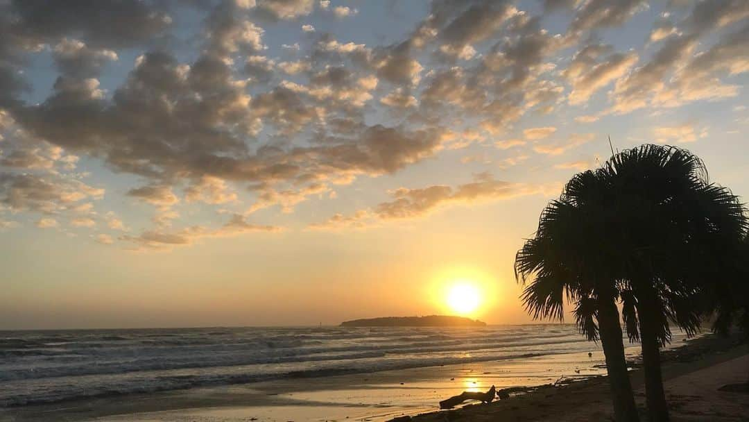 大村 奈央さんのインスタグラム写真 - (大村 奈央Instagram)「ありがとう宮崎の海🌅🌴☀️ もうすぐ鹿児島〜もうすぐ大分の所まで色んな海でサーフィンをして、綺麗な山に囲まれた海をたくさん見れました。波を探し求めて探検した時間は濃厚でした🚗🚶‍♂️ また、自分もそうだったように、サーフィンを全然知らなくて生で見た事のなかった方達に、サーフィンを海で見て楽しんでもらえる機会が沢山あった事はとっても嬉しかったです😊（ビデオは全部サーファーじゃない方達が撮ってくれたり編集してくれたもの😆🎥） 影で支えてくれる方、会えるのを楽しみにしてくれる方、快く受け入れてくれた宮崎の方達、ありがとうございました🌟  So many beautiful places in Miyazaki 🇯🇵🐟⛰🌊🥩🍚」10月22日 13時41分 - naoomura