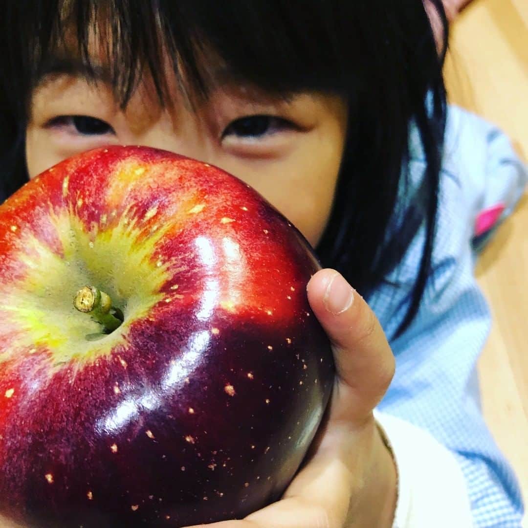 Kids Of Ninjaのインスタグラム：「大きなリンゴが取れたよ🍎 . . #おとちゃん #年長さん #リンゴ狩り #親バカ部 #子供と暮らす #trendykids #lifewithkids #kids_japan #kids_circle #cutekidsclub #love #instagood #instakids #kidsphoto」