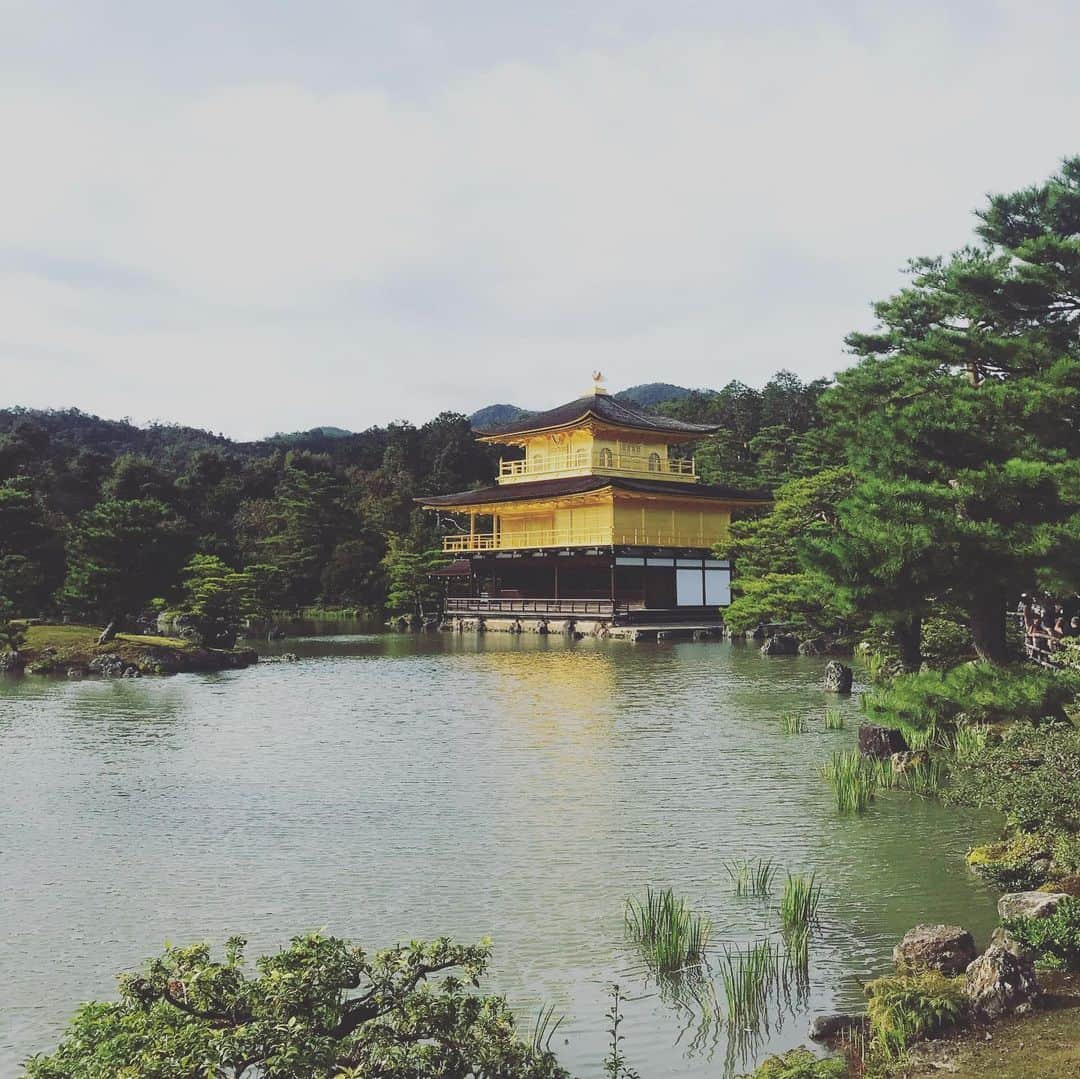 小泉里子さんのインスタグラム写真 - (小泉里子Instagram)「修学旅行ぶりの金閣寺」10月22日 15時18分 - satokokoizum1