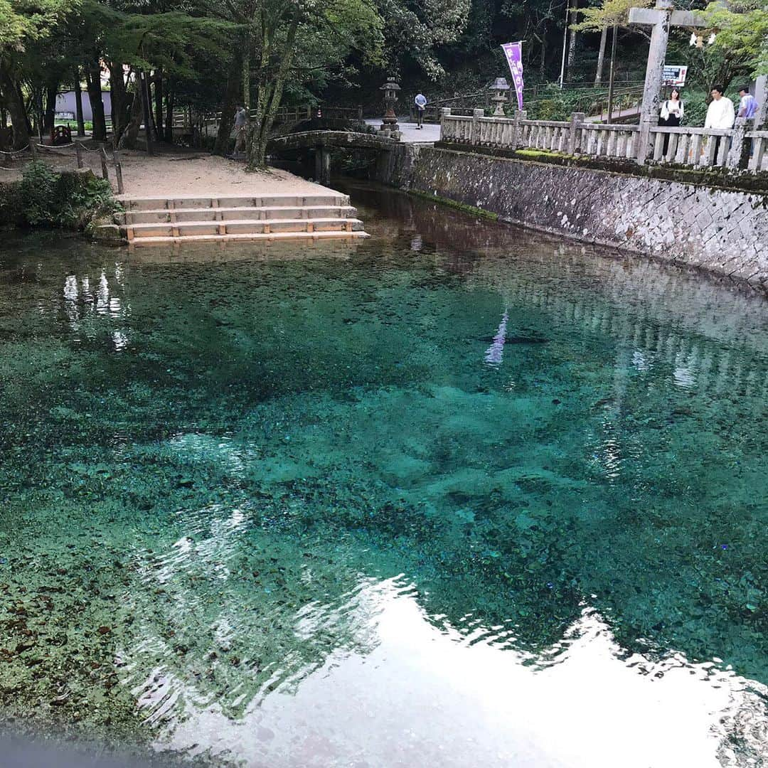 小林咲葵さんのインスタグラム写真 - (小林咲葵Instagram)「🌻﻿ 山口県美祢市にある弁天池~✨﻿ ﻿ 水が透き通ったコバルトブルーでめちゃ綺麗だった🥺🥺﻿ ﻿ #小林咲葵﻿ #弁天池﻿ #パワースポット﻿ #ぶちいいとこやまぐち﻿ #山口県」10月22日 19時58分 - saki0819_k