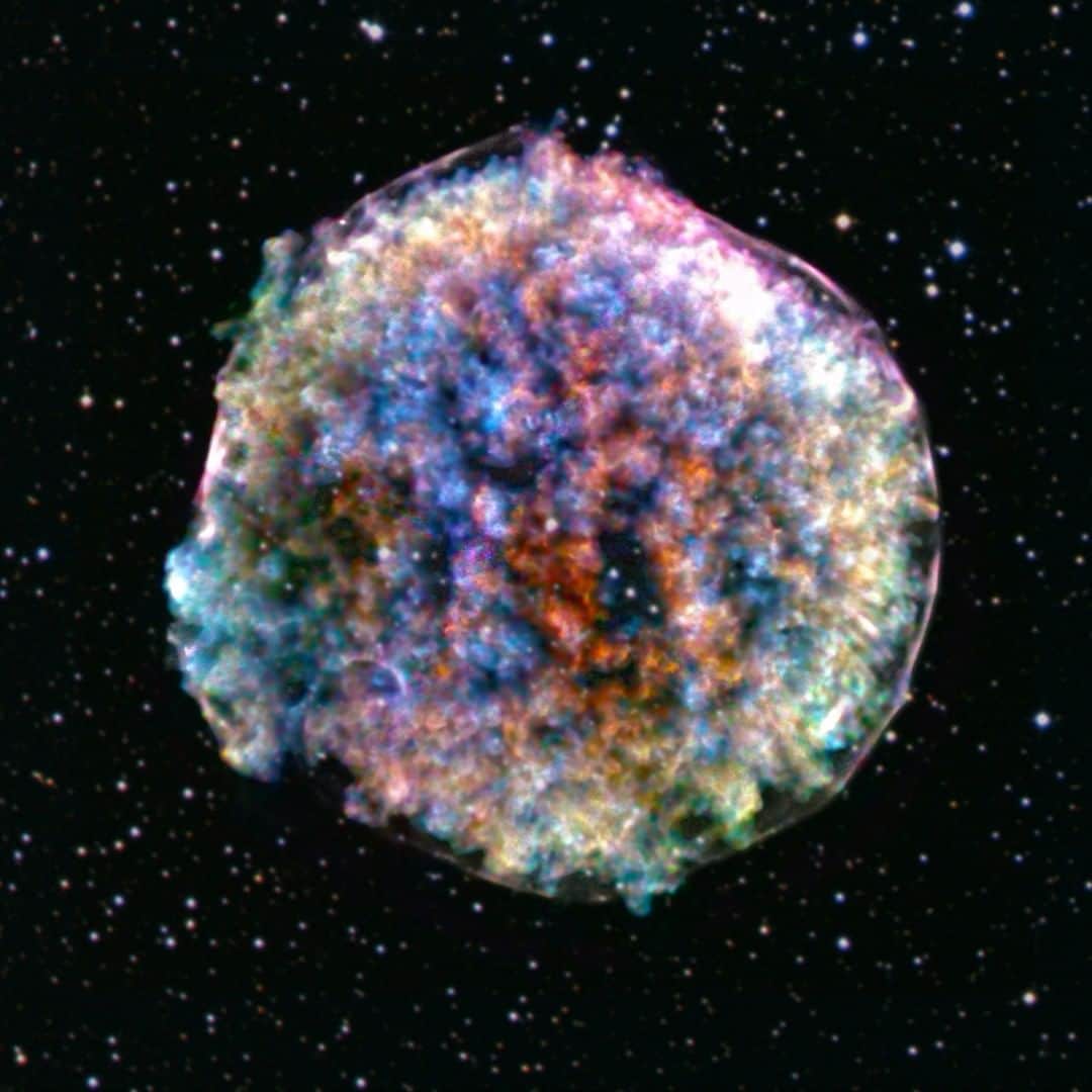 NASAさんのインスタグラム写真 - (NASAInstagram)「⭐ ➡️💥 A Chandra supernova in the sky... This Chandra X-ray Observatory (@nasachandraxray) image captures a star in the constellation Cassiopeia that was obliterated by an explosion. What's left behind is this multicolored, three-dimensional object: a supernova remnant. ⁣ ⁣ Tycho's supernova remnant — named for Danish astronomer Tycho Brahe, among the first to spot it in 1572 — was a Type Ia, which occurs when a white dwarf star pulls material from, or merges with, a nearby companion star until a violent explosion is triggered, sending debris hurtling into space.⁣ ⁣ The image is providing clues to what caused the remnant's intriguing pattern of bright clumps and fainter areas. To emphasize the clumps in the image and the three-dimensional nature of Tycho, scientists selected two narrow ranges of X-ray energies to isolate material (silicon, colored red) moving away from Earth, and moving towards us (also silicon, colored blue). The other colors in the image (yellow, green, blue-green, orange and purple) show a broad range of different energies and elements, and a mixture of directions of motion. ⁣ Image Credit: X-ray: NASA/CXC/RIKEN & GSFC/T. Sato et al; Optical: DSS⁣ ⁣ #supernova #explosion #cosmos #universe #observatory」10月23日 6時15分 - nasa