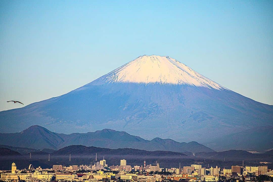 つるの剛士さんのインスタグラム写真 - (つるの剛士Instagram)「富士さんが白いニット帽かぶりだしました。  日本一似合うと思います。  #富士山　#🗻 #美人山 #藤沢　#自宅より #皆さん今日もご活躍を #行ってきます　#行ってらっしゃい  #つるカメラ」10月23日 6時46分 - takeshi__tsuruno