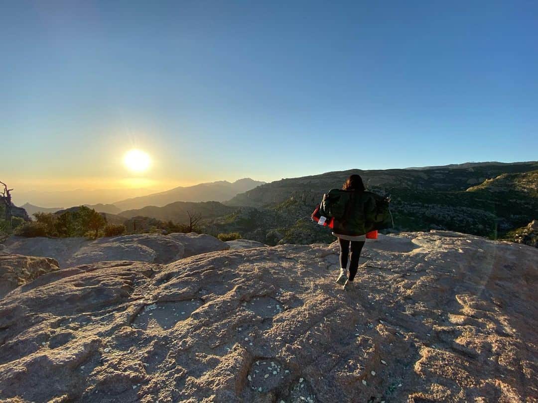 HiRAO INCのインスタグラム：「. Mt Lemmon Arizona  レモン山の頂上は サンタカタリナの山々とソノラ砂漠が広がる壮大な景色  砂漠の町ツーソンの北にそびえる標高２，１００メートルを越すサンタカタリナの山々は、「砂漠の海に浮かぶ島」と呼ばれる場所。 山の麓は巨大なハシラサボテン Saguaro （サワーロ）が林立し、ここから山頂までの４８キロの山岳ハイウエーは素晴らしい風景と眺望があり、しかも、５つの生物分布帯を持つ珍しい山。ハイクすると8時間かかるのですが、車で山頂までは麓から1時間。 絶景すぎて、怖いくらい美しい山。」