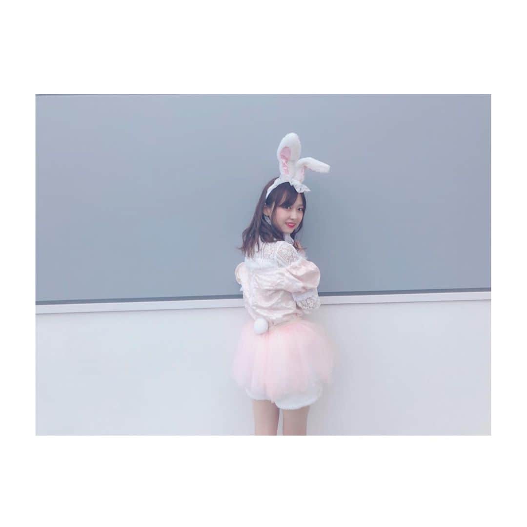 橋本陽菜さんのインスタグラム写真 - (橋本陽菜Instagram)「🐰 * うしゃぎしゃんぜんしん🍼 きゃわきゃわでしょ💓 しっぽもあるぽん👶 * #rabbit #AKB48 #チーム8 #富山県 #はるpyon #橋本陽菜 #橋本陽菜を広める」10月22日 22時22分 - 48pyonz_toyama